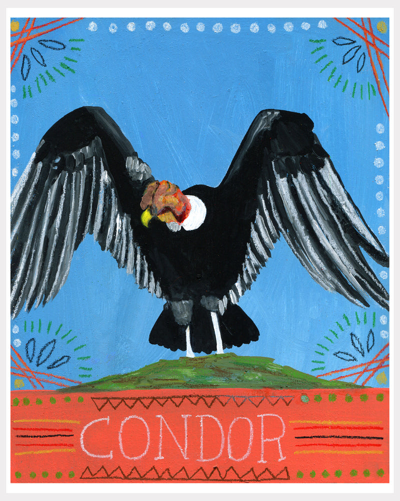 Animal Totem Print - Condor