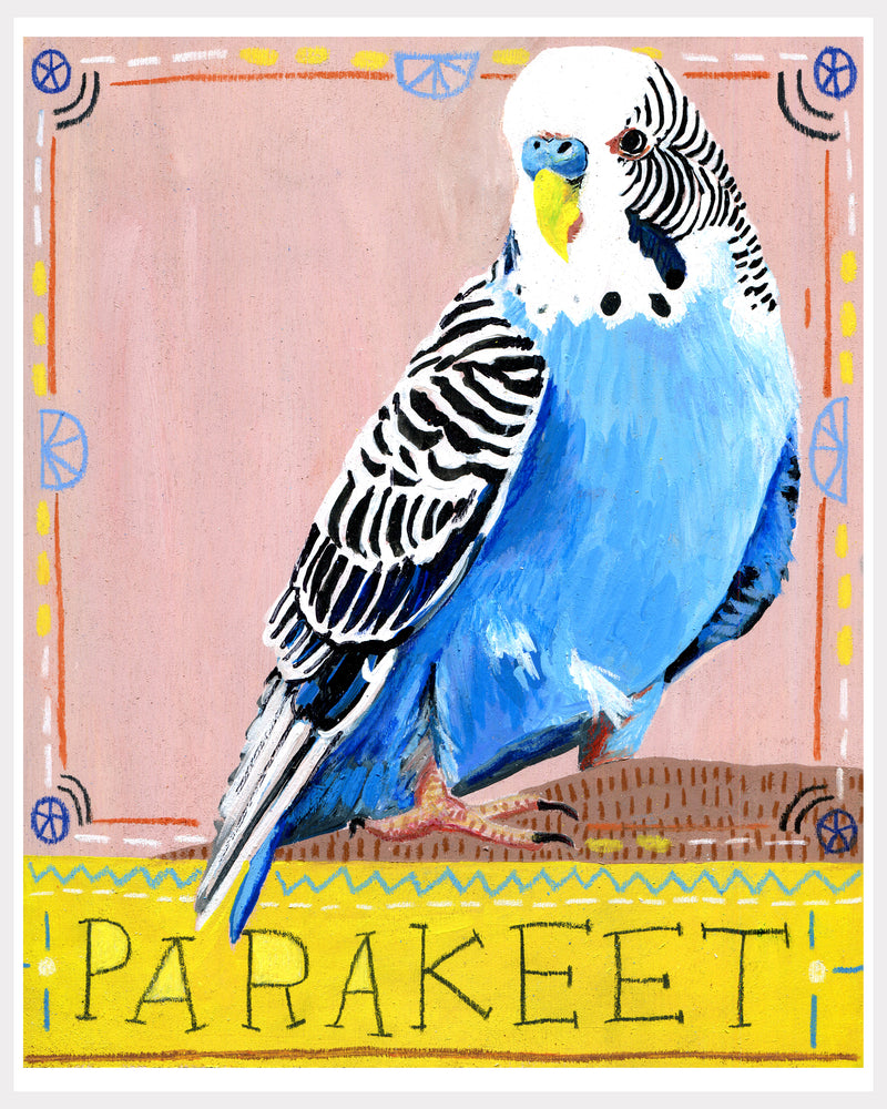 Animal Totem Print - Parakeet
